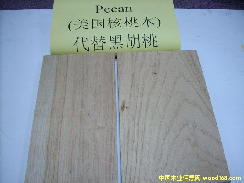 ����(gu��)����ľPecan��Ԕ��(x��)��B