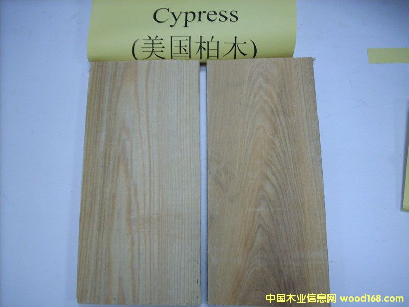 ������ľCypress