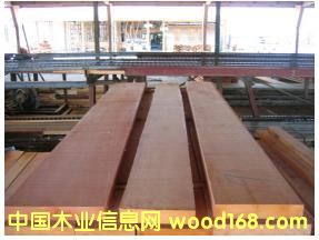 쳝�(j��)�һ���ľ��Ԕ��(x��)��B