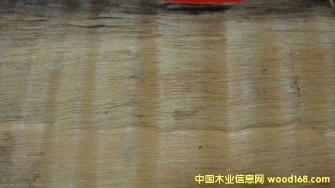 ��z�ľ-1��Ԕ��(x��)��B