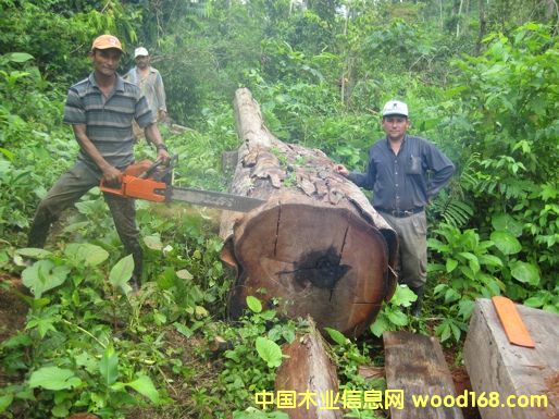 7��Ԕ����B