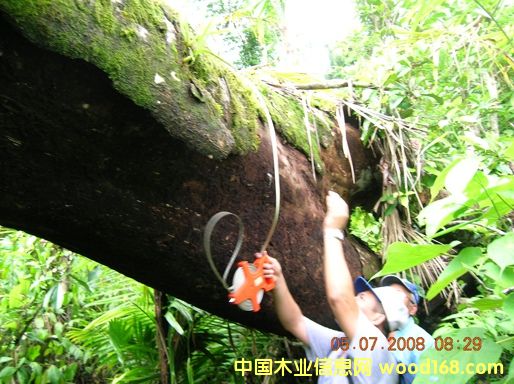 6��Ԕ����B