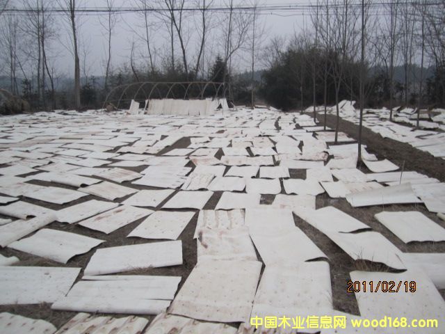 ��ľ�ΰ��Ԕ��(x��)��B