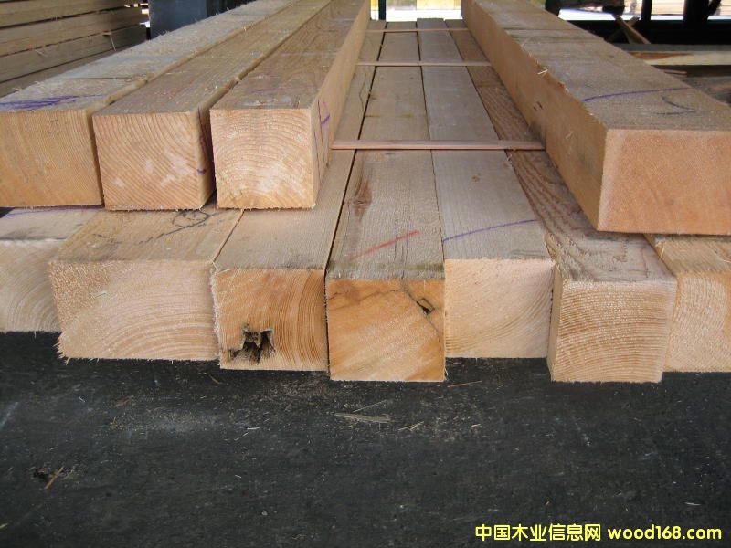 ��ɼ���2��Ԕ����B