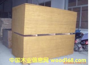 �x�͏S�ҬF(xi��n)�ṩ50�����۸ߙn���z��������Ԕ��(x��)��B