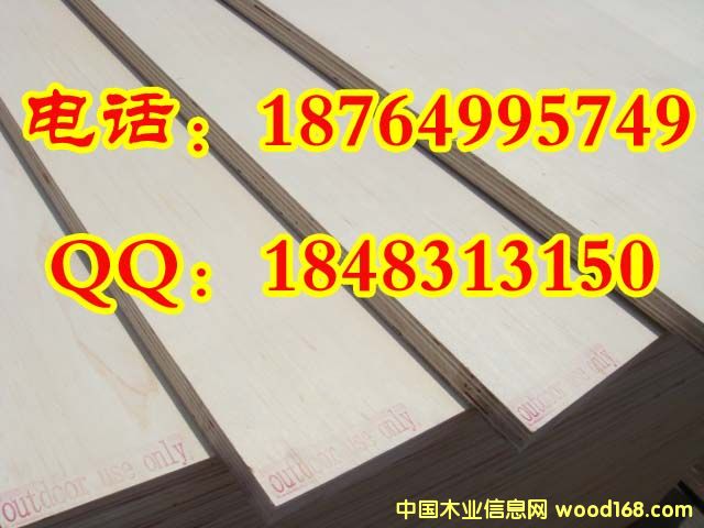 ��ľ��Ԕ����B