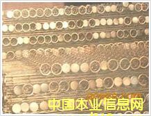 ���m�Ǽ܈A�ιǼܵ�Ԕ��(x��)��B