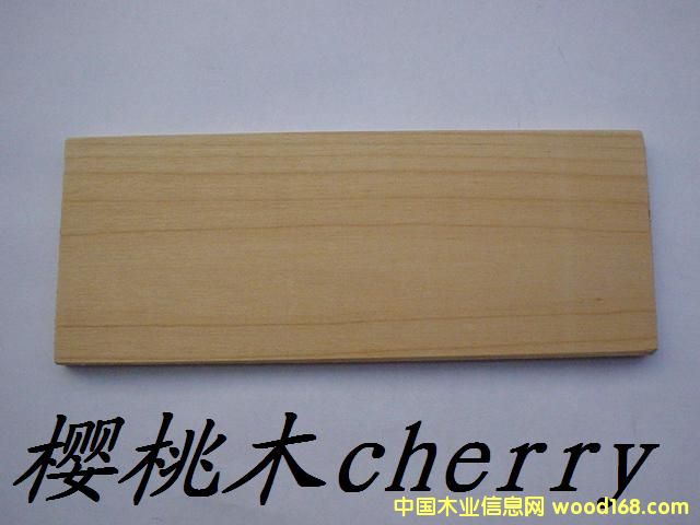 �c(di��n)���鿴����ľ�Ŵ�DƬ