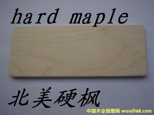 ����Ӳ��