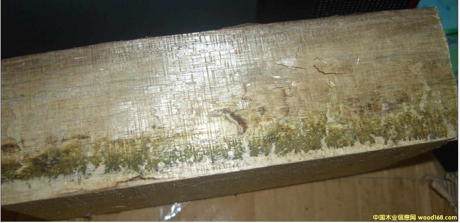 �ľ��Ʒ2��Ԕ��(x��)��B