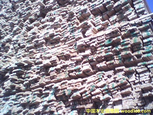 ľ����ľ��������Ԕ��(x��)��B