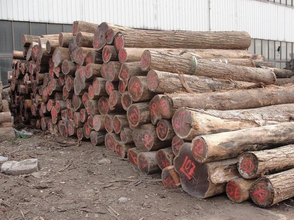 �������S̴��Ԕ����B