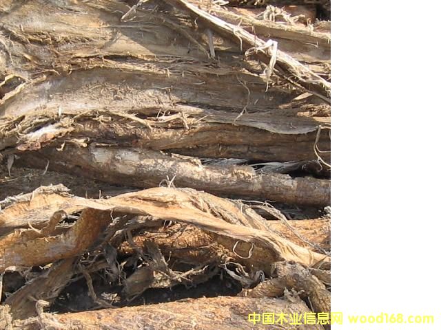 ��(g��u)ľƤ��Ԕ��(x��)��B