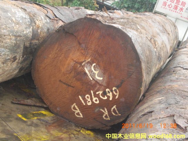 ���}���Ԕ��(x��)��B