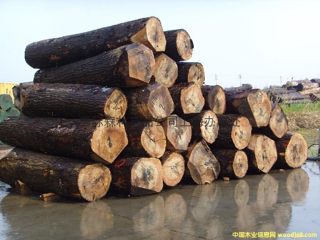 �������м���ľԭľ�ֈ�ֱ��