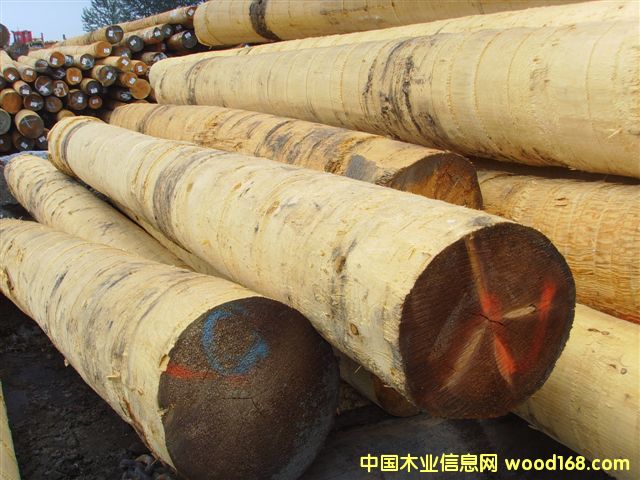 ���ô�Ƥ��߅���Fɼ������ԭľ