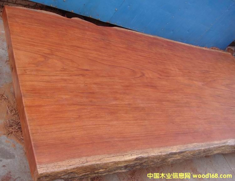 �c(di��n)���鿴����ľ���Ŵ�DƬ