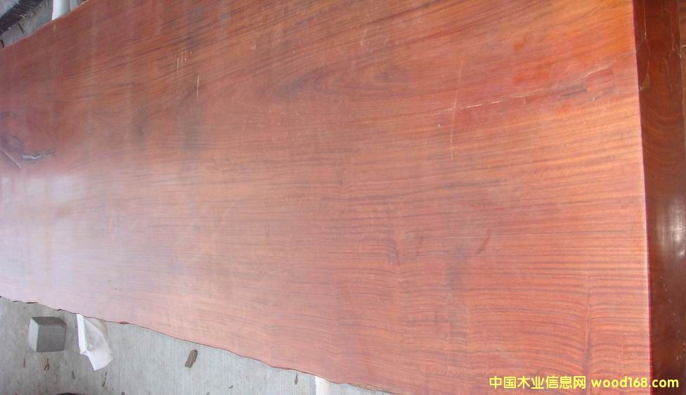 �c(di��n)���鿴��ľ���Ŵ�DƬ