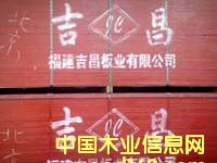 �������Ԕ��(x��)��B