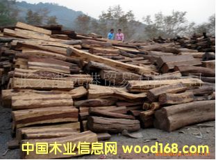 �����ϓ뻨֦���� ľ�ĵ�Ԕ����B