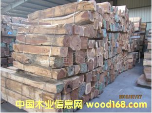 �������黨֦ ����֦ �t��֦��Ԕ����B