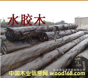 ˮ���� ˮ�zľԭľ ��� ľ�� GUW / EUG