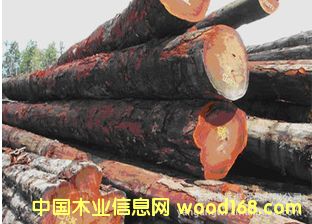 ����(y��ng)�刺�� �ڂ���ԭľ ľ�� DIL /DL