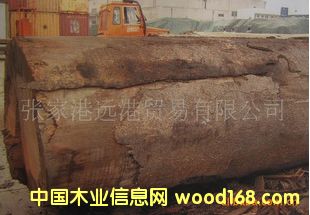 ����(y��ng)ؐ��ɼ ������ԭľ ��� ���aBIND / AGA