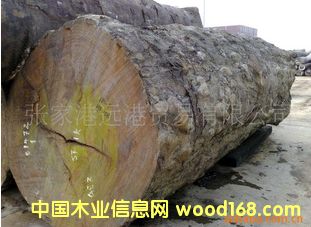 �������� �����Kľ �ͻ�ԭľ ���