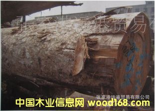 ����(y��ng)���Sđľ �SӲľԭľ ľ�� HAY / NEO