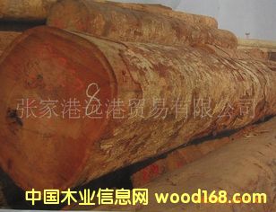 ����(y��ng)�󻨸ʰͶ� ����˹ԭľ ľ�� KEM