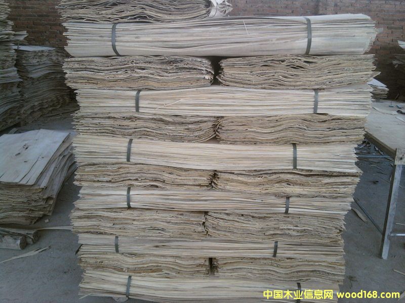 �c���鿴��ľ�ΰ�Ŵ�DƬ