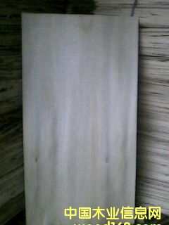 �c���鿴��ľ�ΰ�Ŵ�DƬ