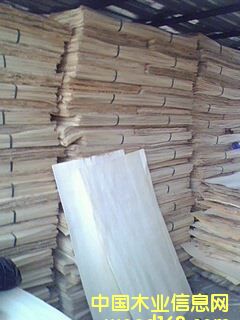 �c���鿴��ľ�ΰ�Ŵ�DƬ