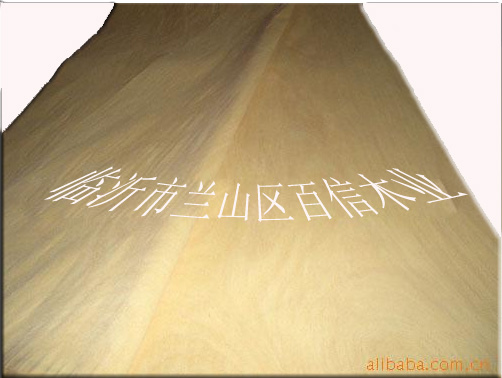 ɽ�� �ΰ��Ԕ��(x��)��B