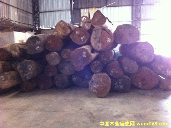 ����ľ��Ԕ��(x��)��B