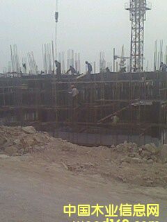 �ɹ�����