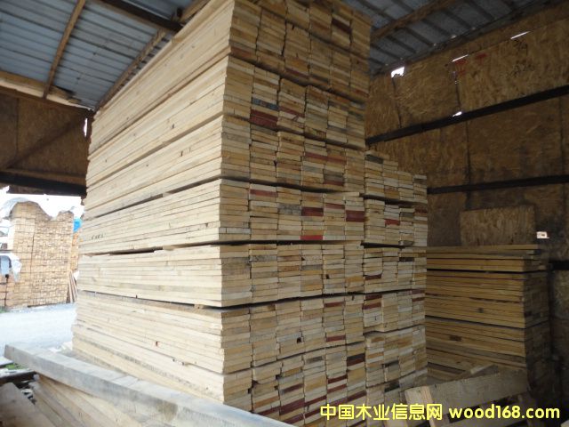 ľ��ľ�ŵ�Ԕ��(x��)��B