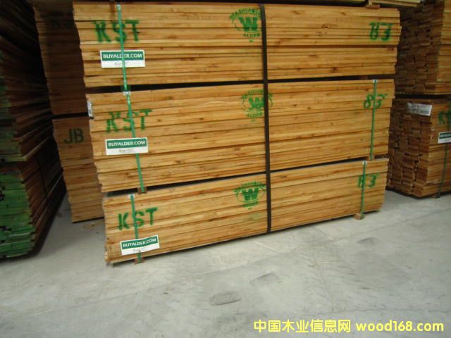 ���������Ԕ��(x��)��B