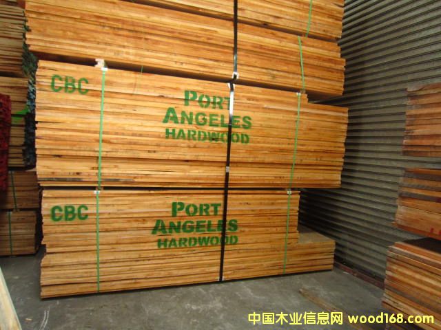 ���������Ԕ��(x��)��B