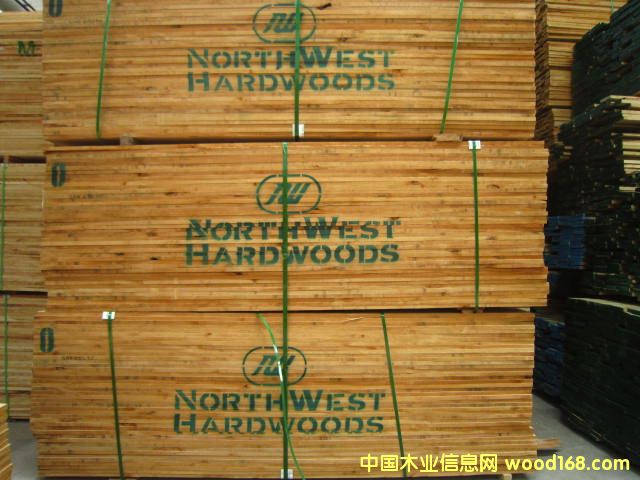 ���������Ԕ��(x��)��B