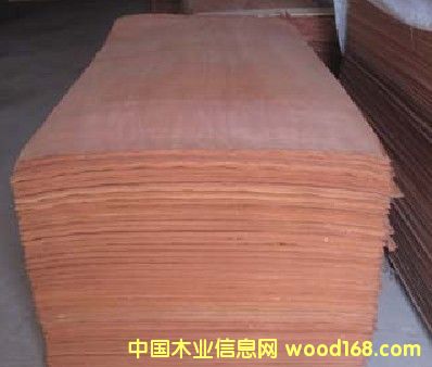 ����ɳ����ľƤ��Ԕ��(x��)��B