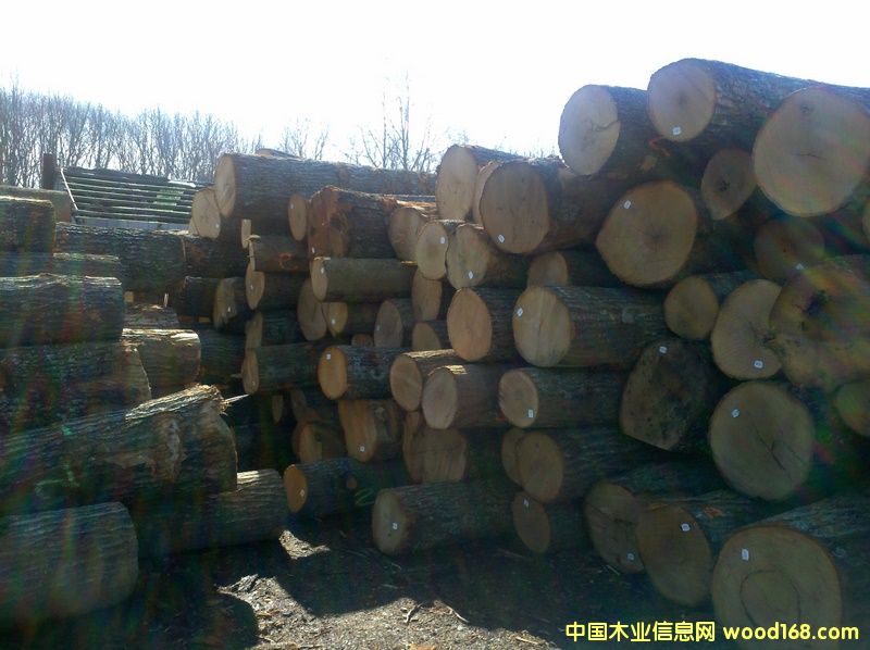 ���������t��ԭľ���������������t��