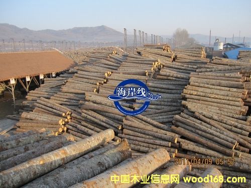 ���ɷ�ľ��Ԕ��(x��)��B