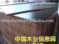 �c(di��n)���鿴�����n����ľо����ģ��Ŵ�DƬ