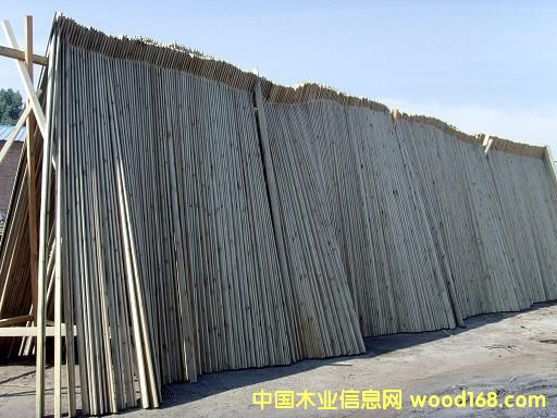 ����ľ��Ԕ��(x��)��B