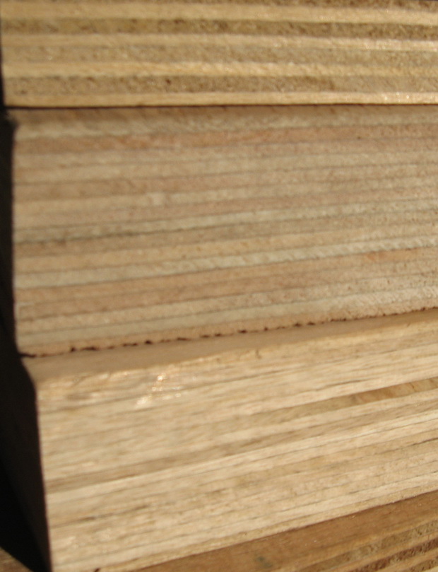 �W����������Ԕ����B