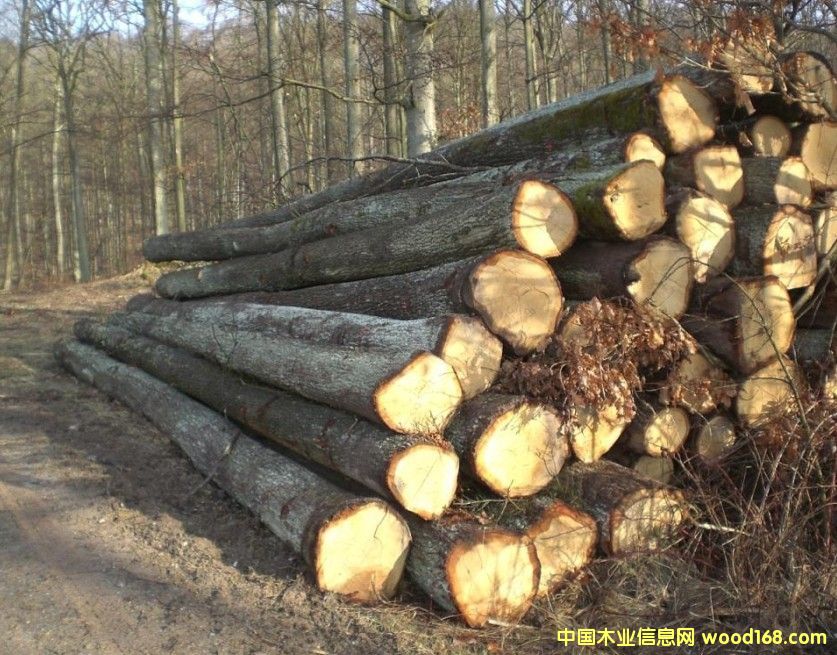 ˹�工�˰���ԭľ��Ԕ����B