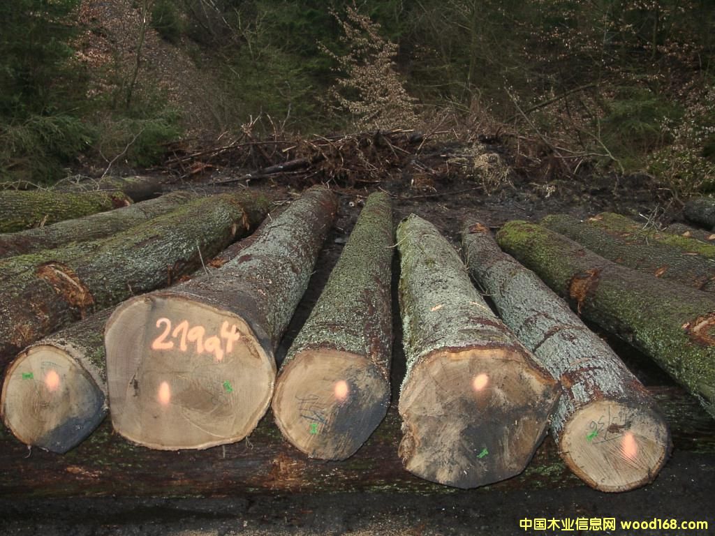 ������ԭľ��Ԕ����B