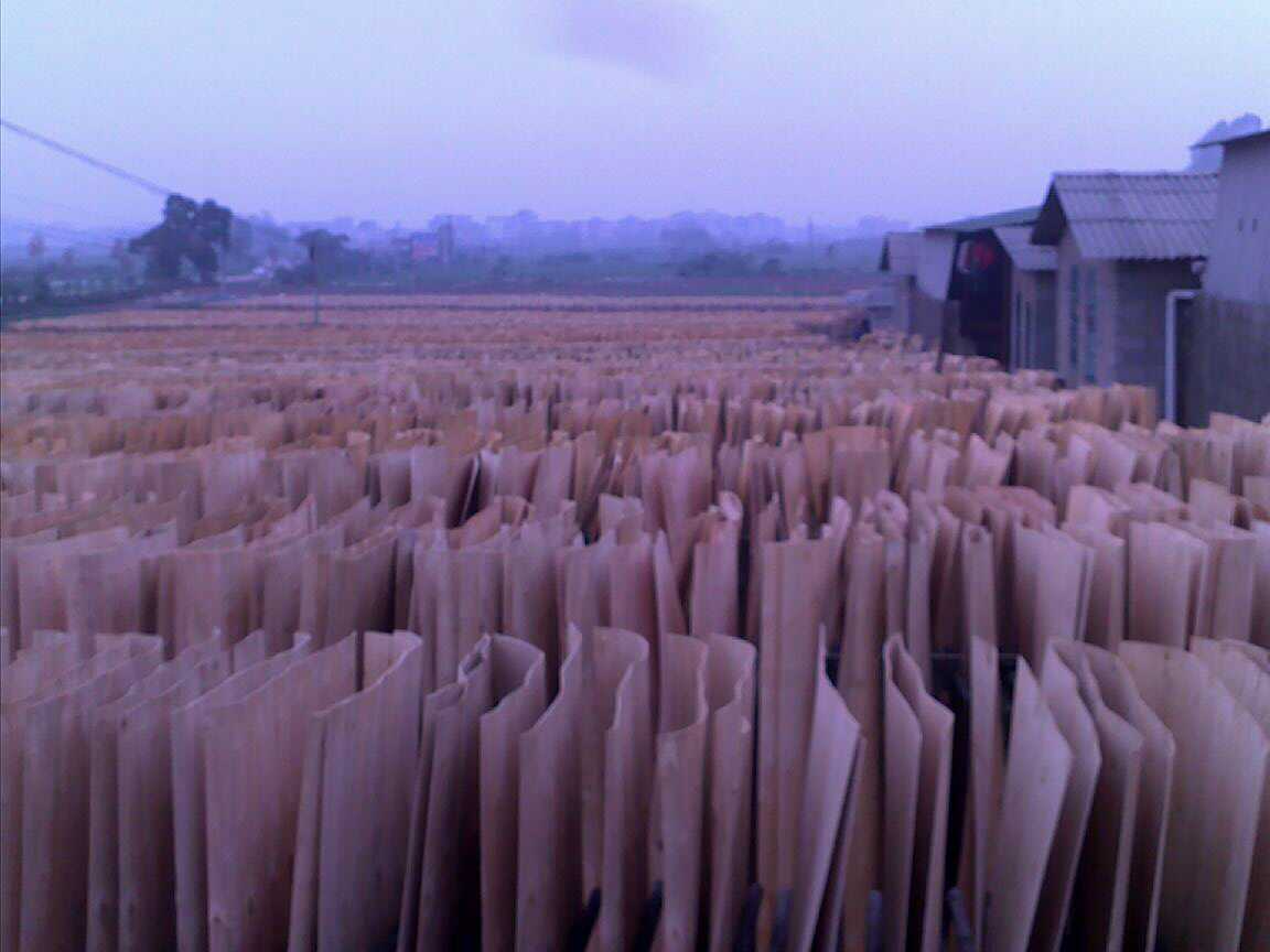 һ��(j��)��ľ�ΰ��Ԕ��(x��)��B